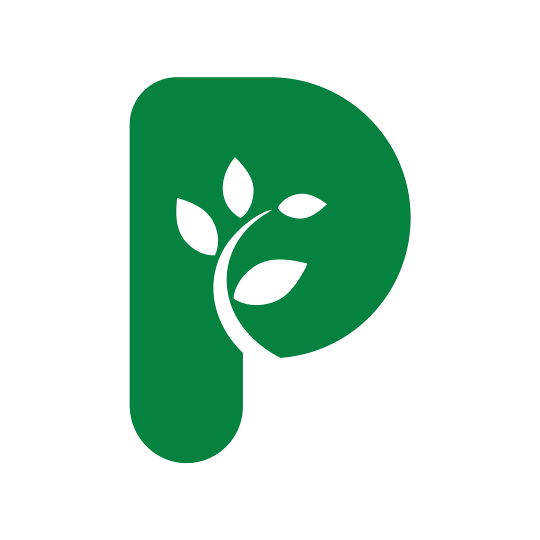 Pactim Logo